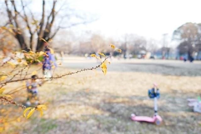 砧公園