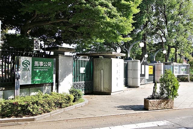 桜新町で緑と陽射しいっぱいの中で暮らす 2枚目