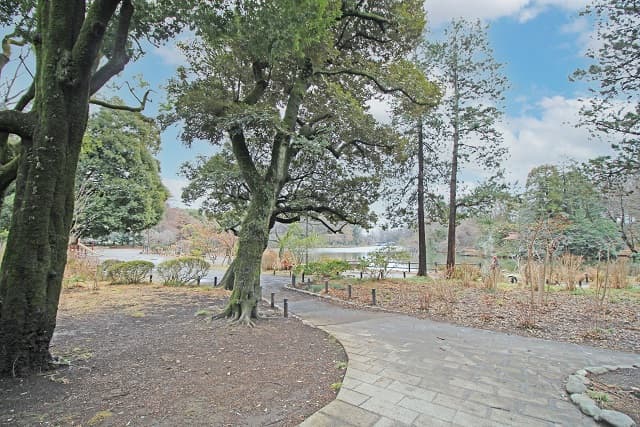 善福寺公園