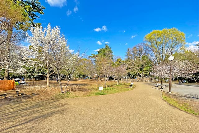 三宿の森緑地