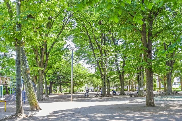 油面公園