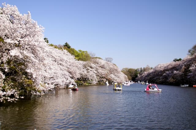 井の頭公園