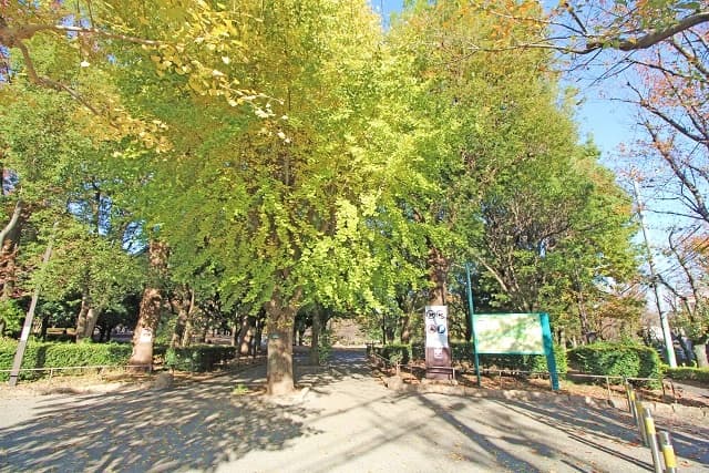 祖師谷公園