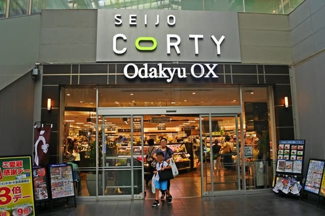 Odakyu OX