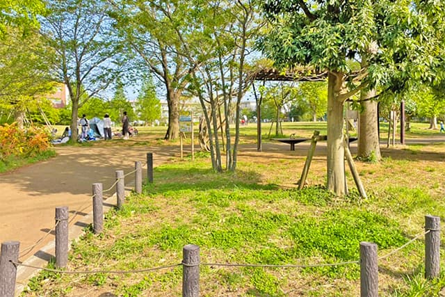 中村かしわ公園