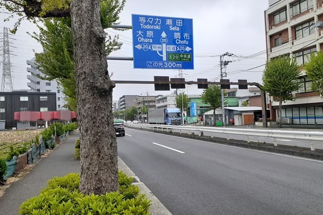 環八