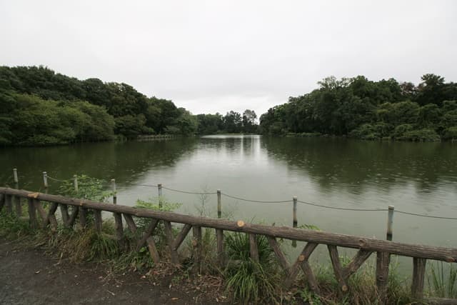 善福寺公園①