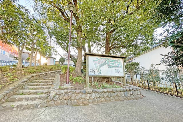 たぬき山公園