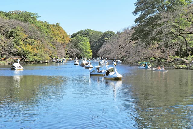 井の頭公園