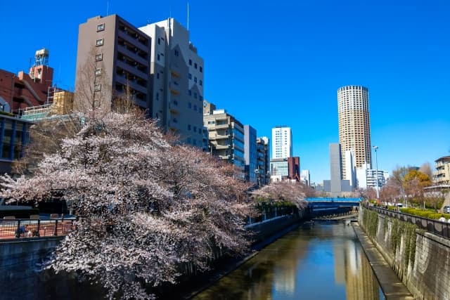 目黒川