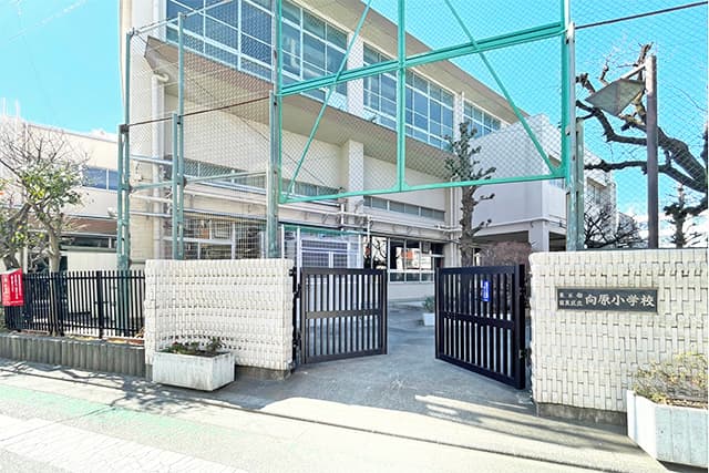 区立向原小学校