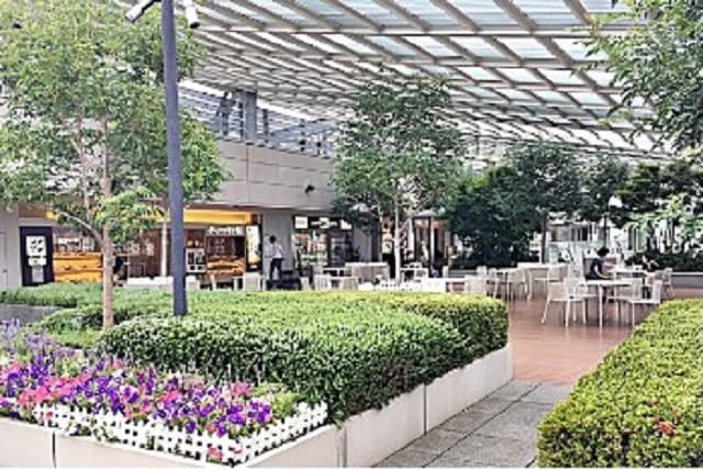 経堂コルティ屋上
