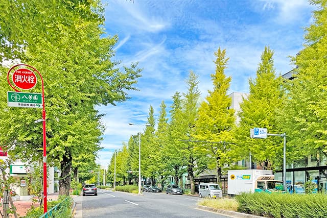 周辺環境②（プラチナ通り）