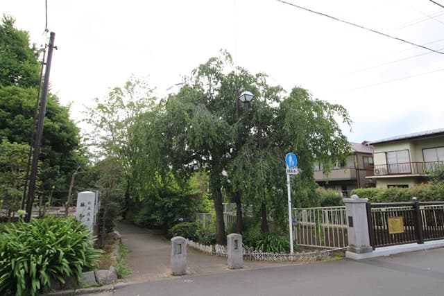 藤和緑地