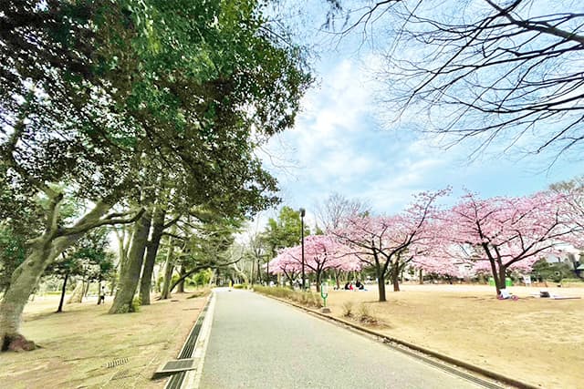林試の森公園