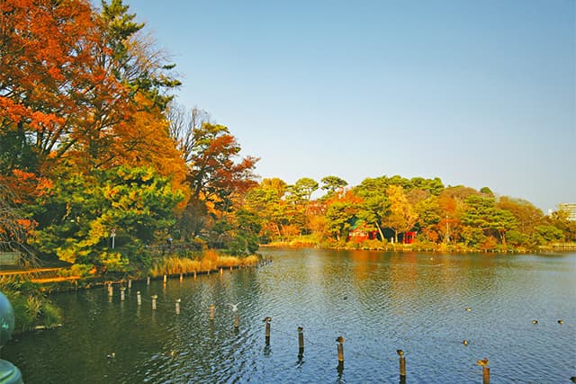 洗足池公園