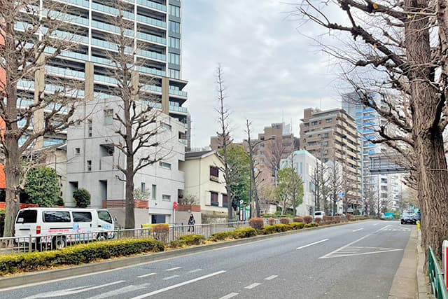 周辺道路①（プラチナ通り）
