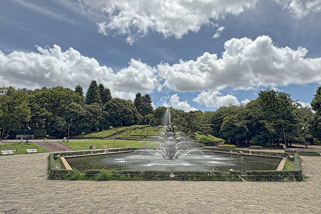 世田谷公園