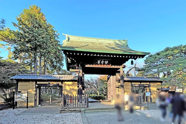 豪徳寺