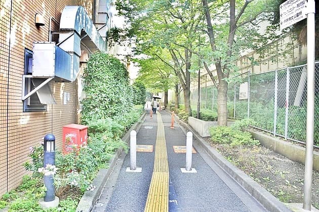 緑道