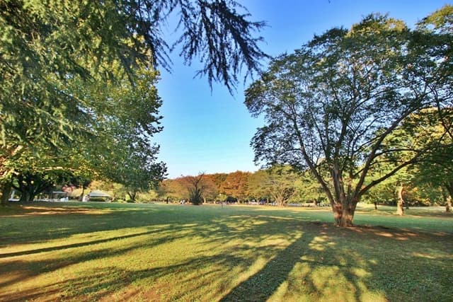 砧公園