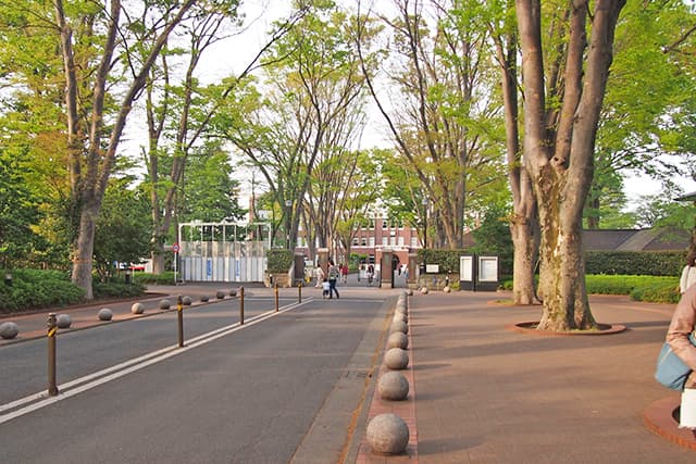 成蹊大学