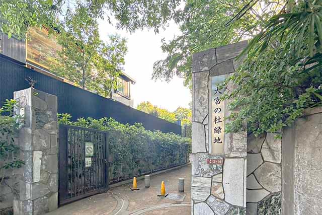 大宮の杜緑地