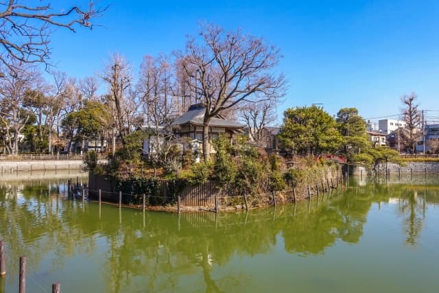 碑文谷公園
