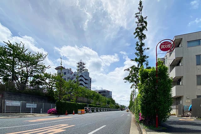 周辺道路①（中野通り）