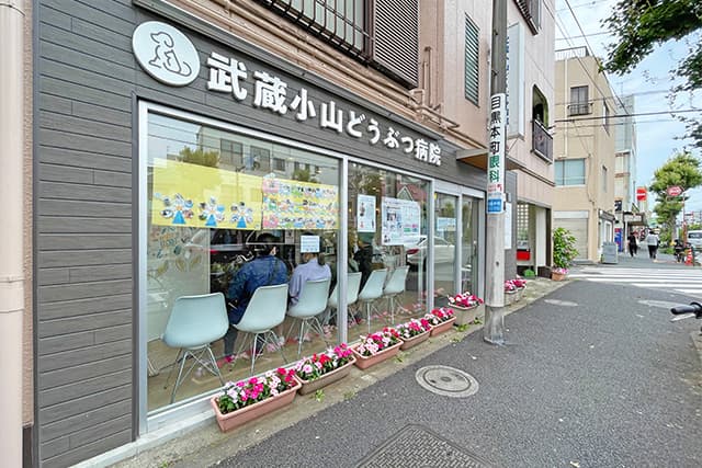 武蔵小山どうぶつ病院