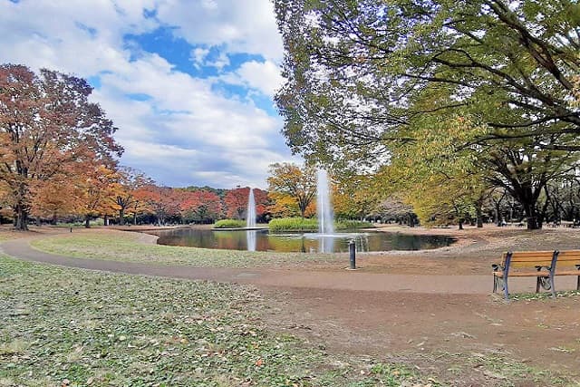 代々木公園