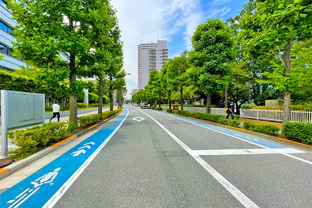 周辺道路①（光学通り）