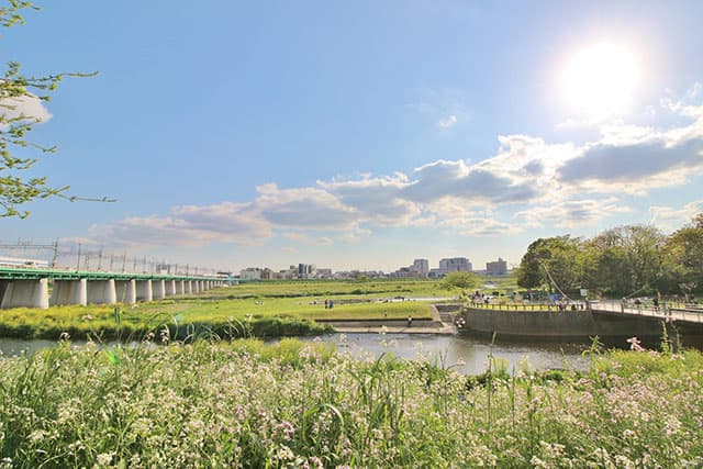 多摩川
