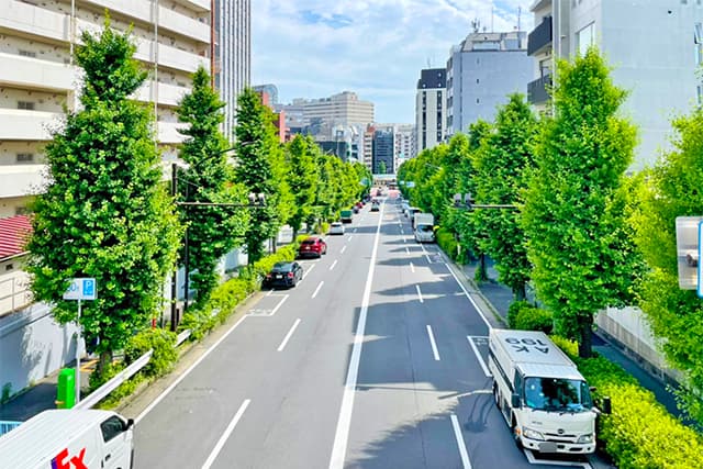 周辺道路②（六本木通り）