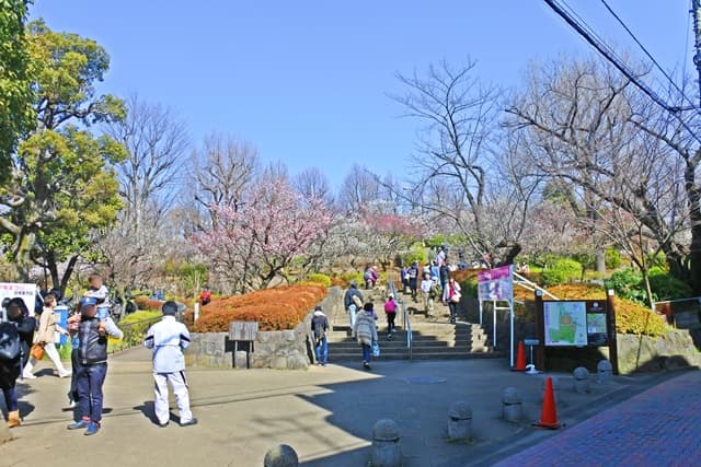 羽根木公園入口