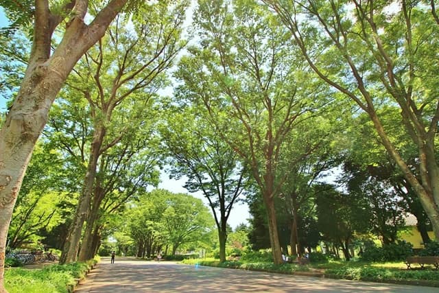 駒沢公園