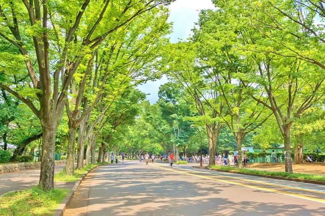 駒沢公園