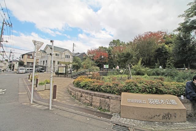 羽根木公園