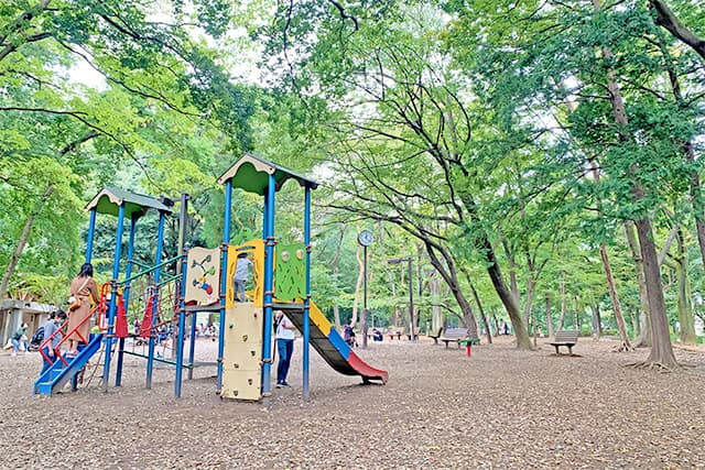 林試の森公園
