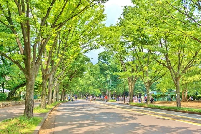 駒沢公園
