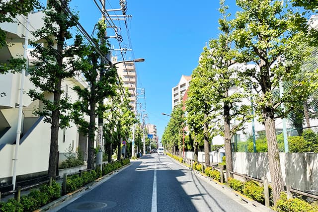 周辺環境①（中央病院通り）