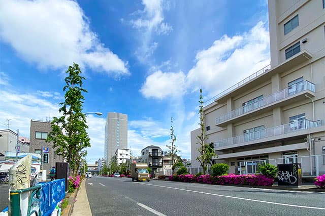 周辺道路②（中野通り）
