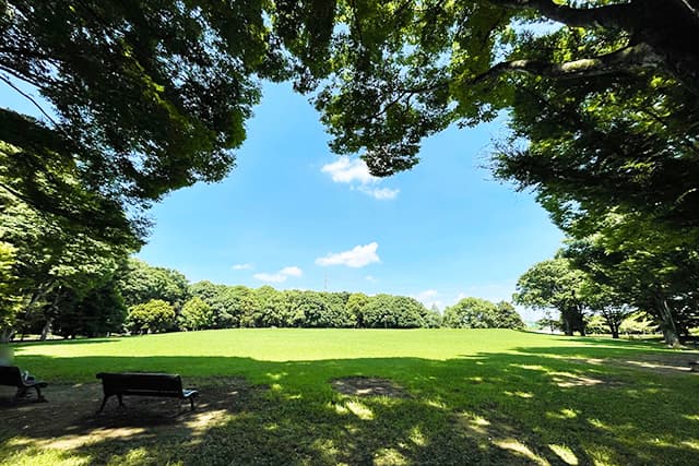 神代植物公園