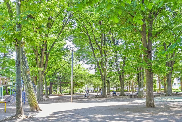 油面公園