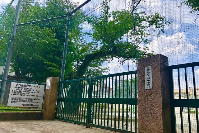 瀬田小学校