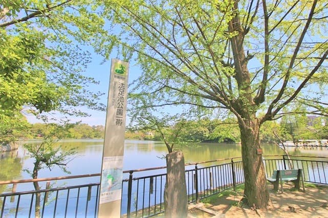 洗足池公園