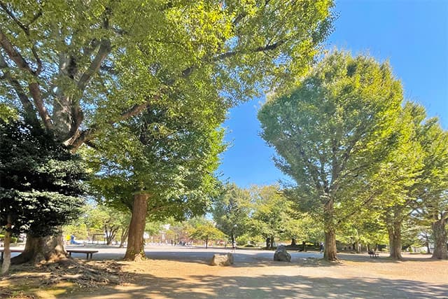 下馬中央公園