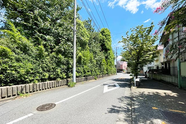 周辺道路②（駒場通り）