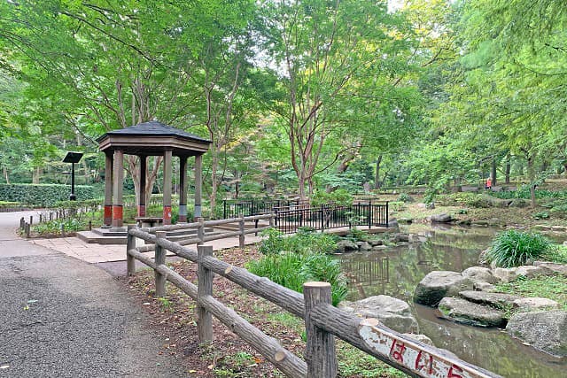 林試の森公園